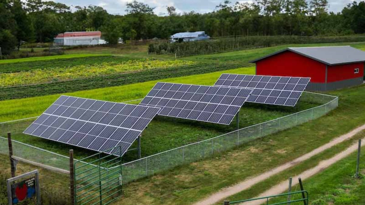 Solar panels on a farm.