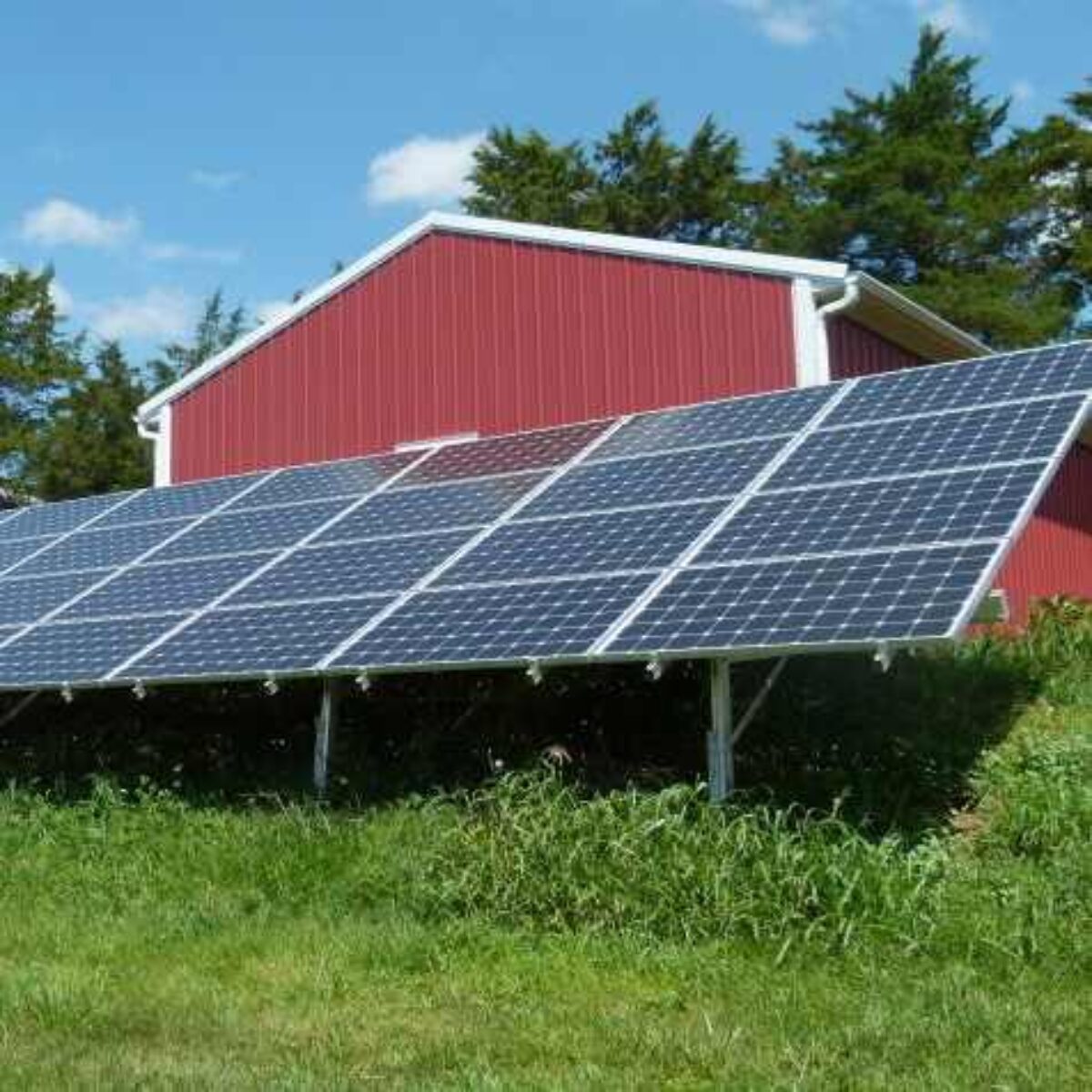 Ground mount solar panels in front of a red barn and green grass.