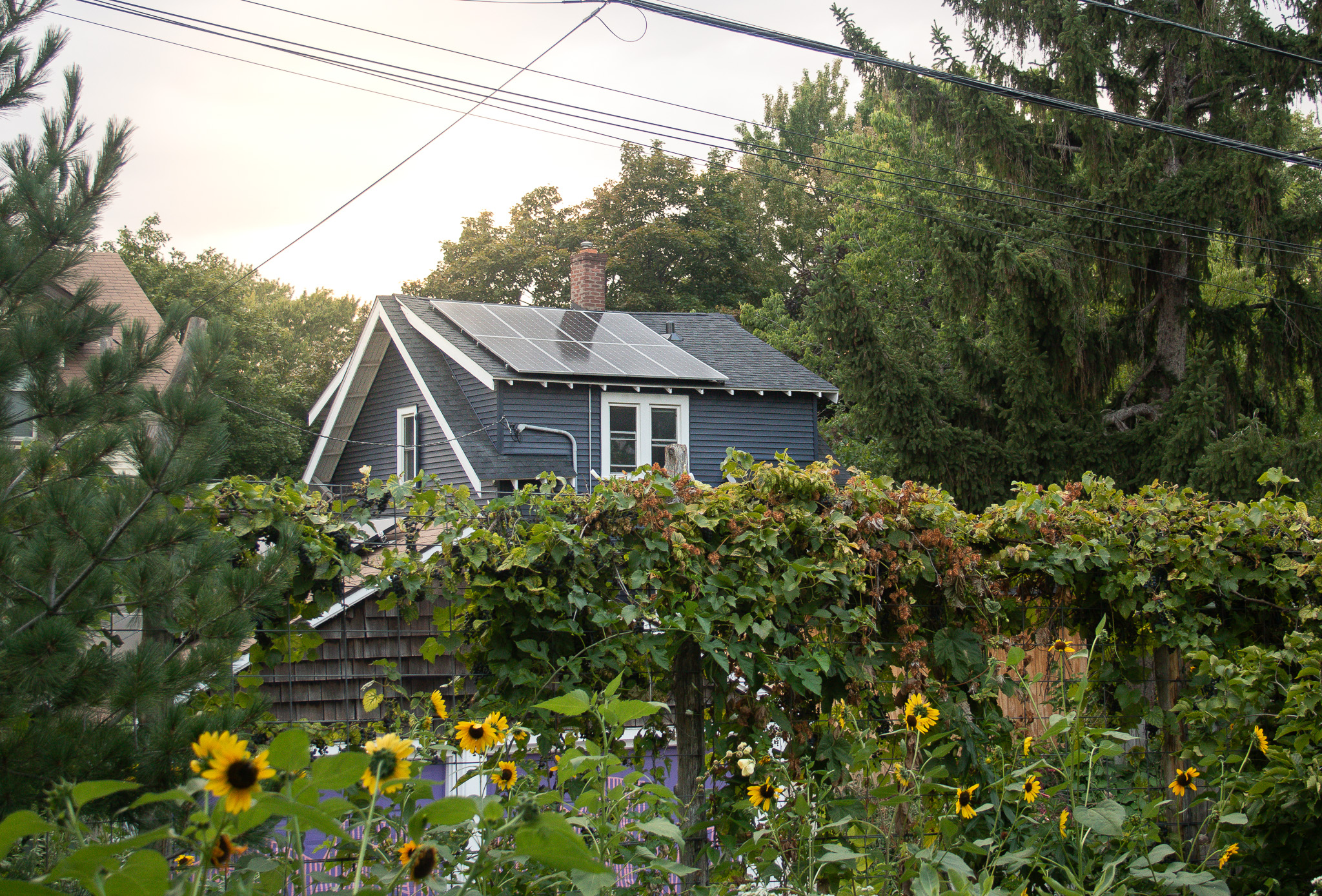 A house with solar panels.